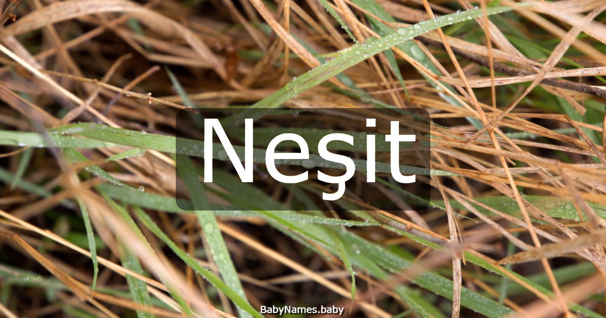 Neşit