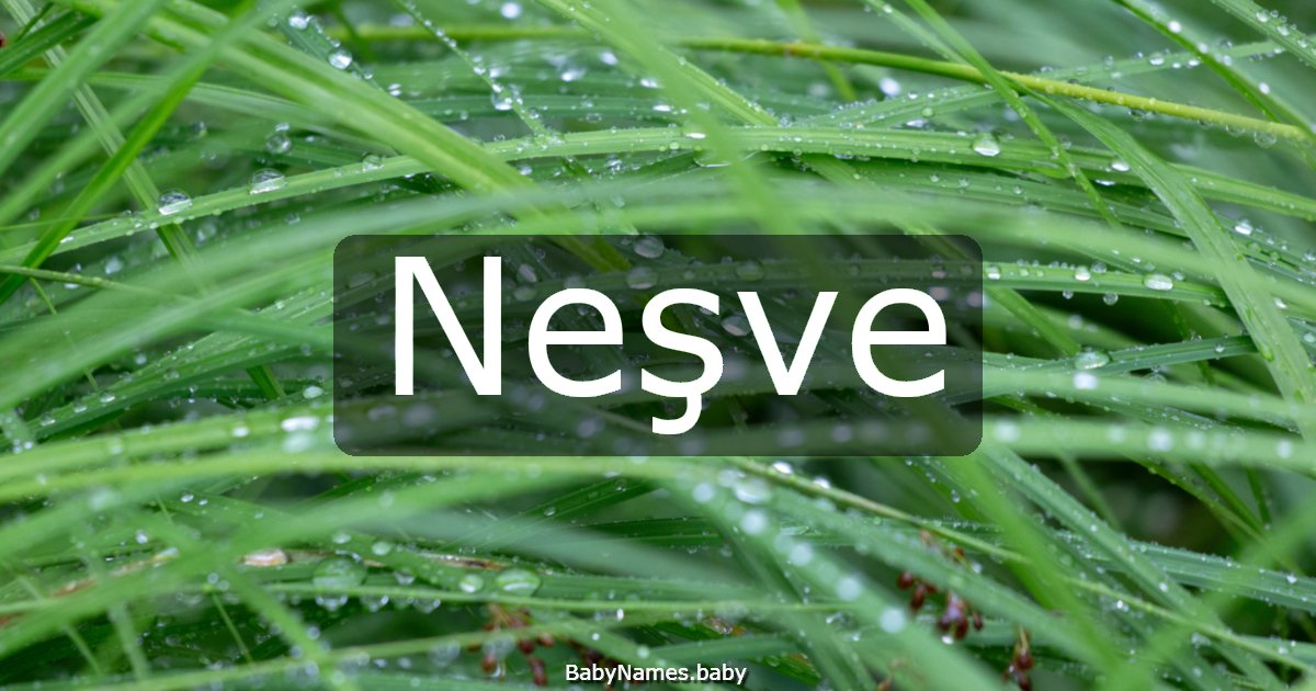 Neşve