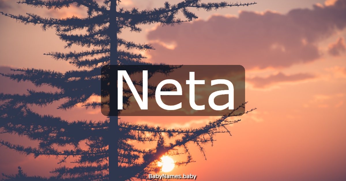 Neta