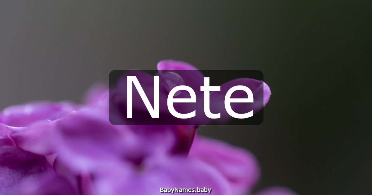 Nete