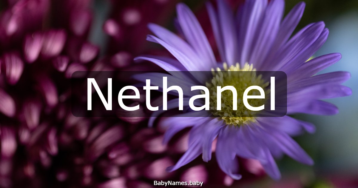 Nethanel