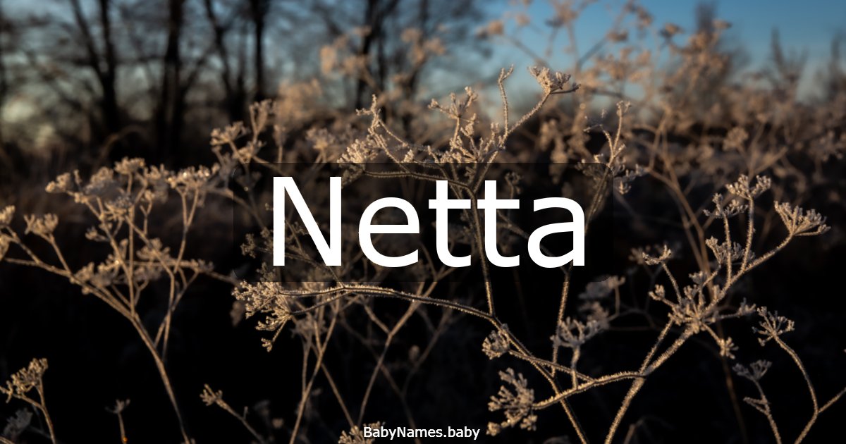 Netta