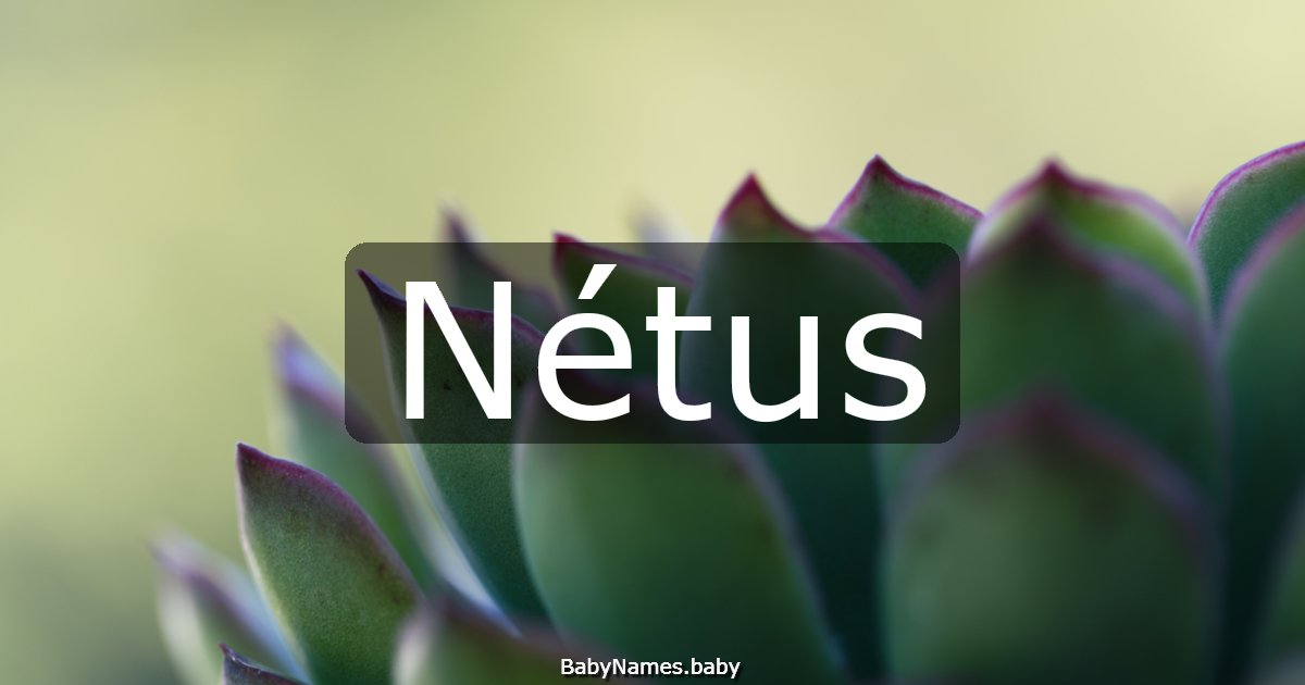 Nétus