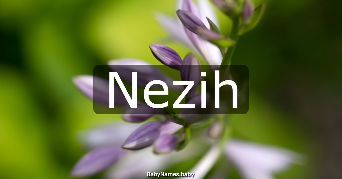 Nezih