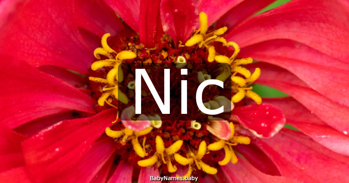 Nic