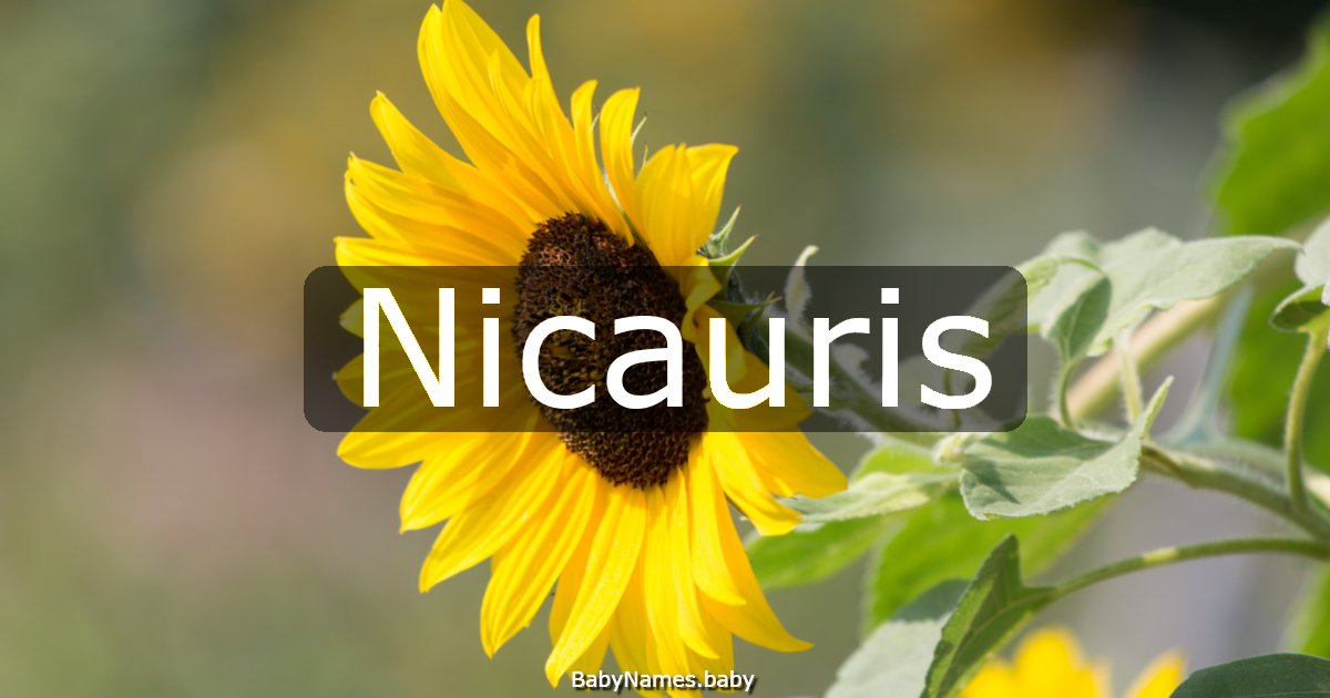 Nicauris