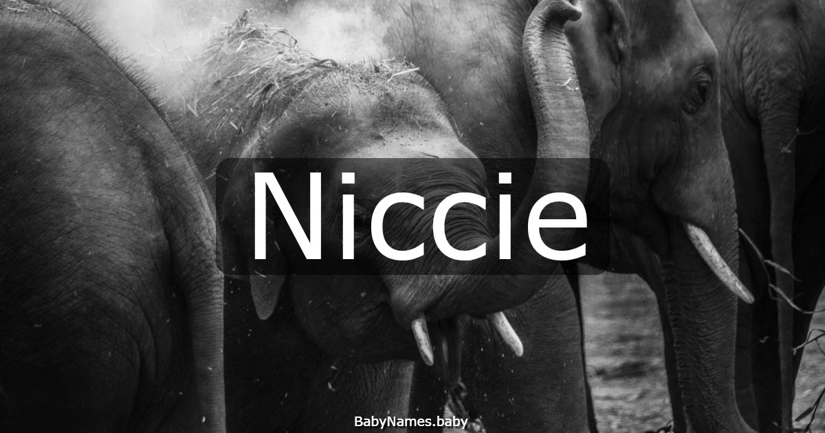 Niccie