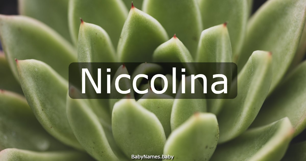 Niccolina