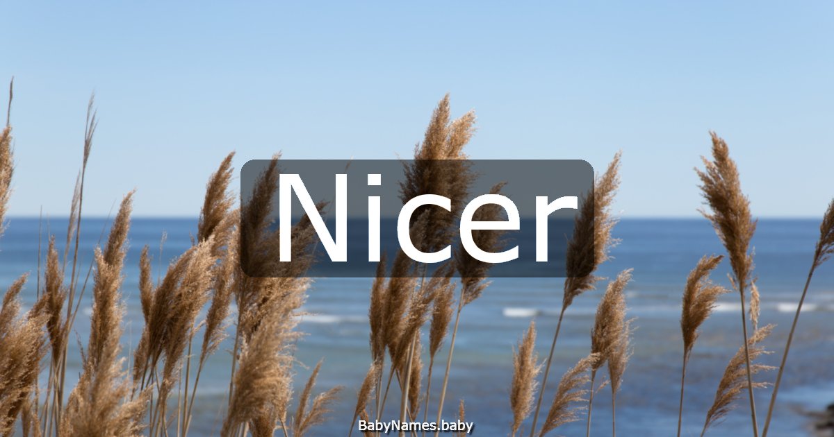 Nicer