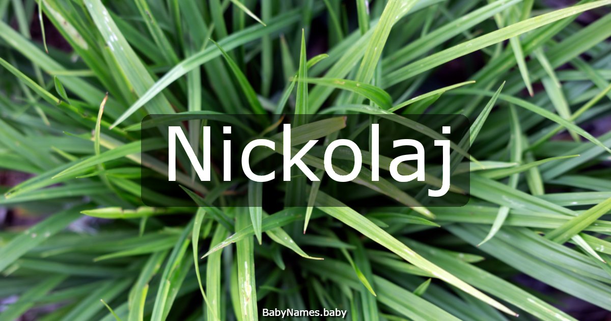 Nickolaj