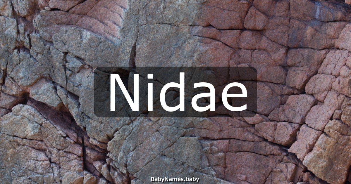 Nidae