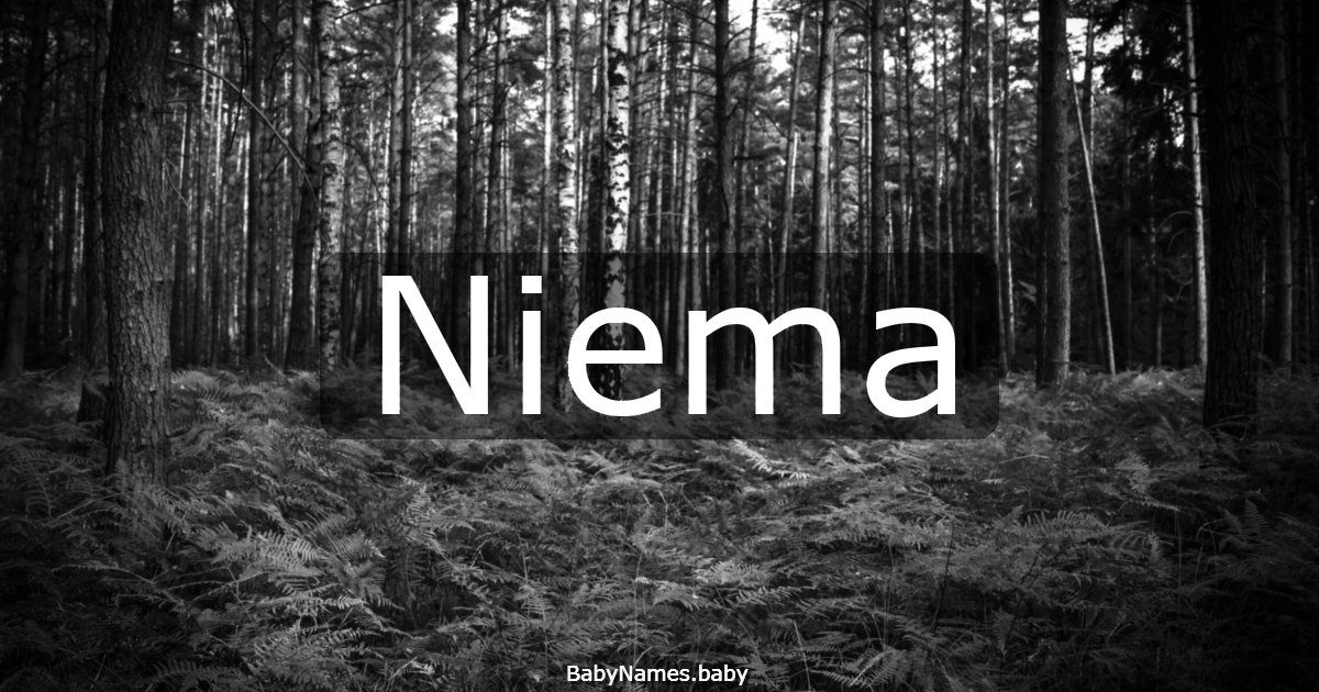 Niema