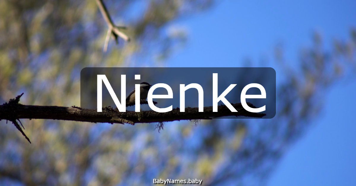 Nienke