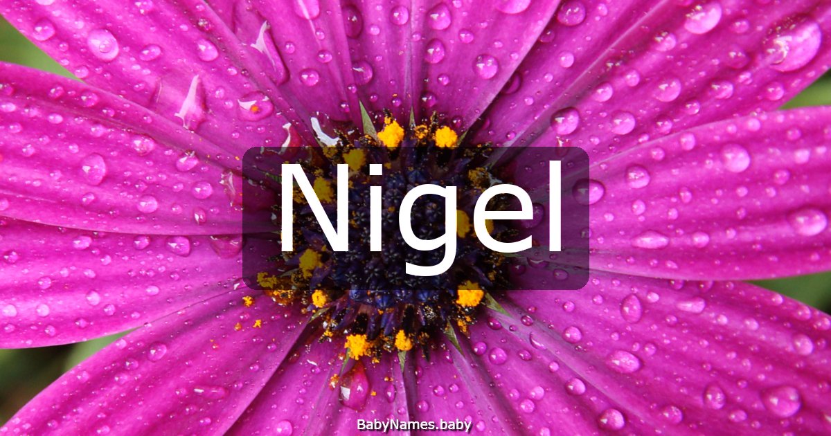 Nigel