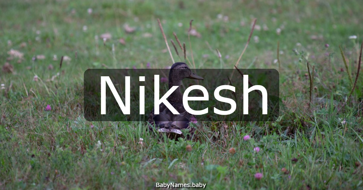 Nikesh