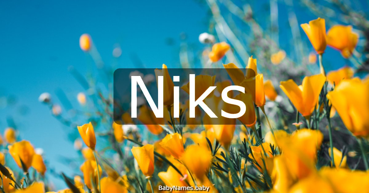 Niks