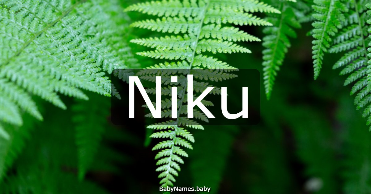 Niku