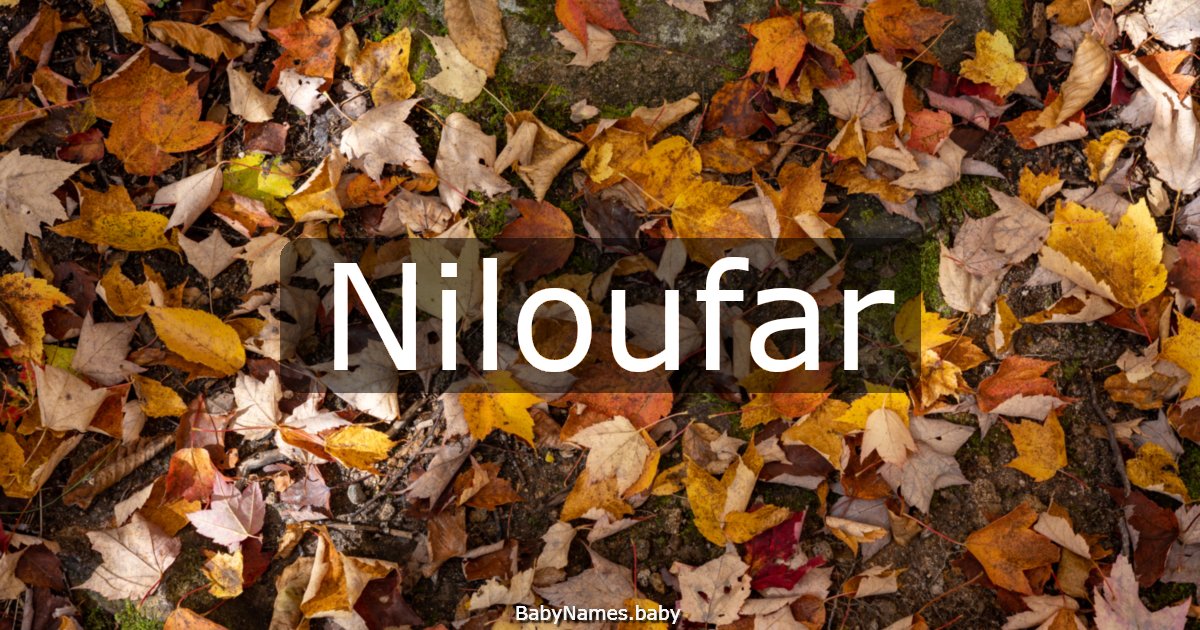 Niloufar