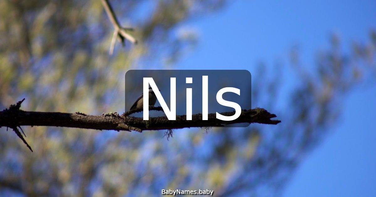 Nils