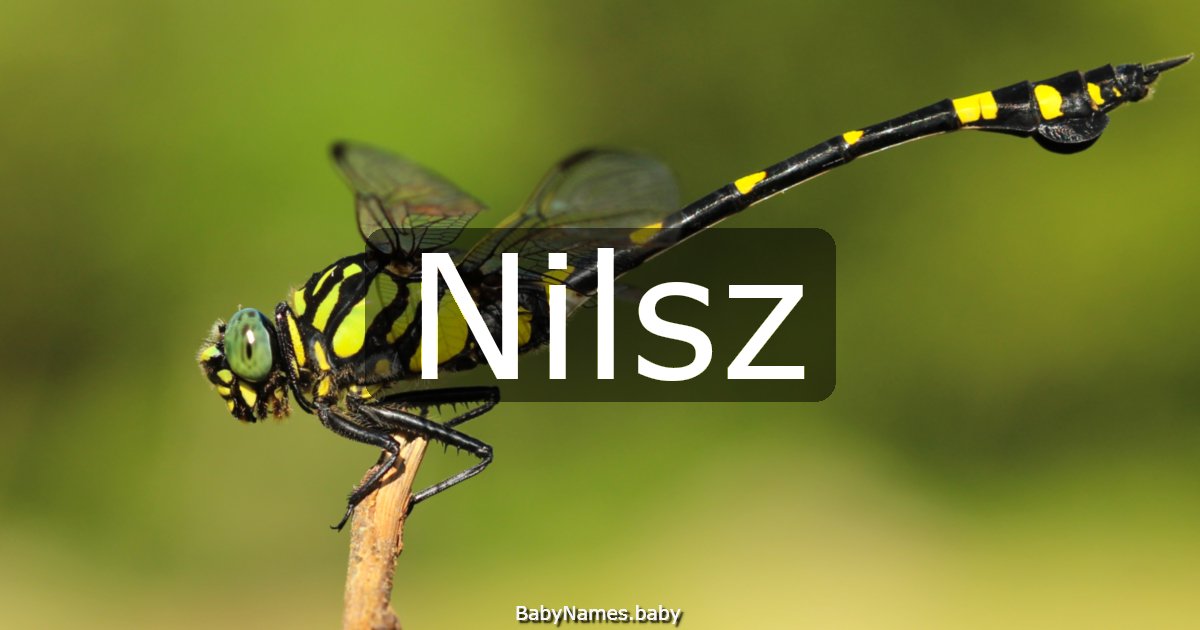 Nilsz