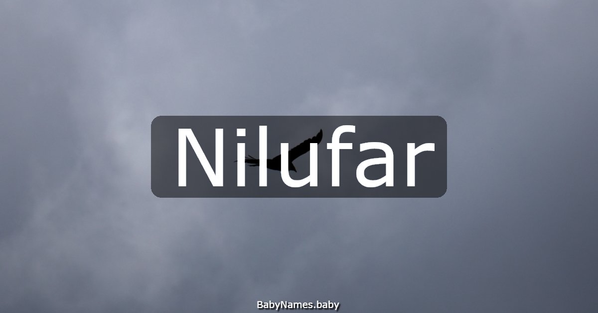 Nilufar