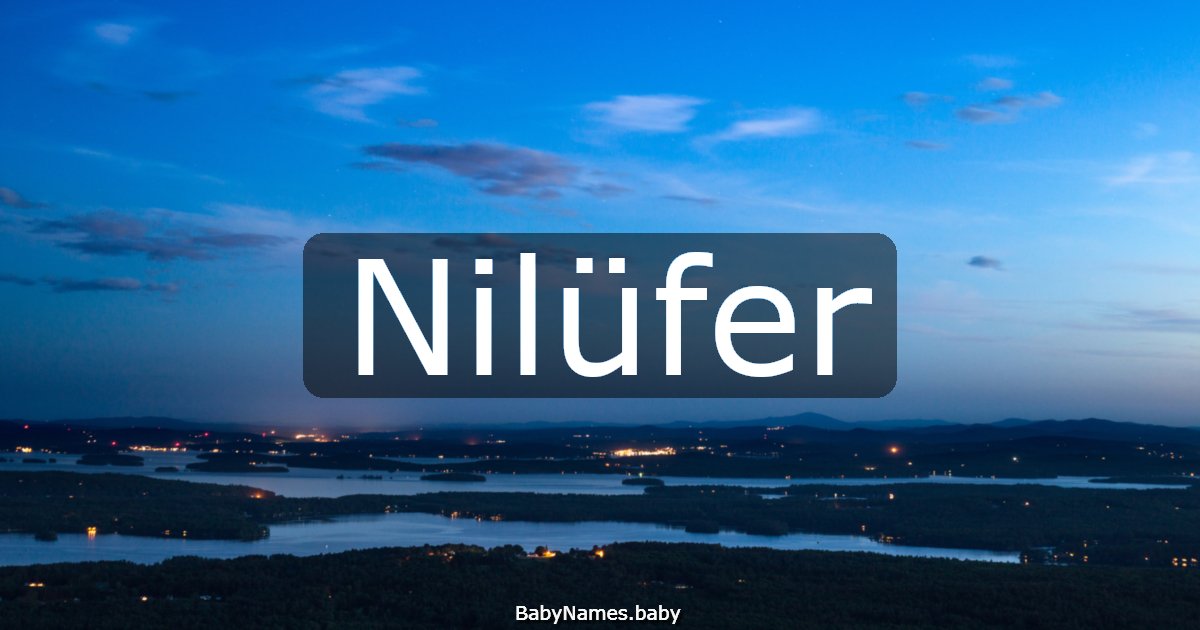 Nilüfer