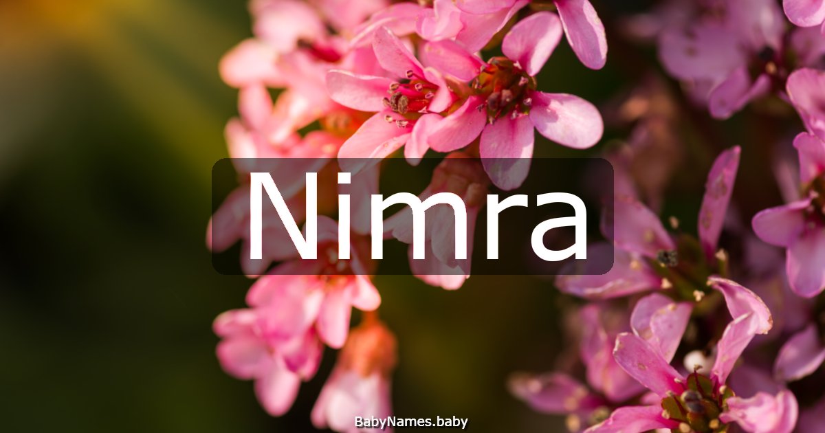 Nimra
