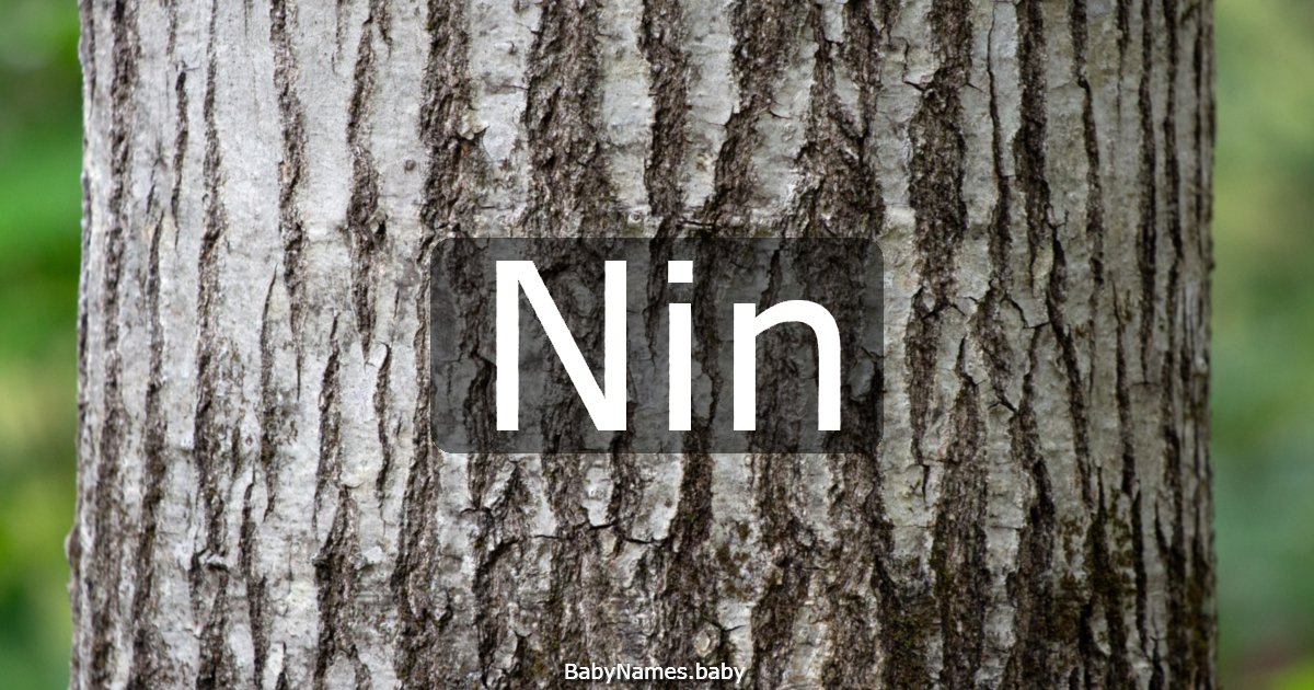 Nin