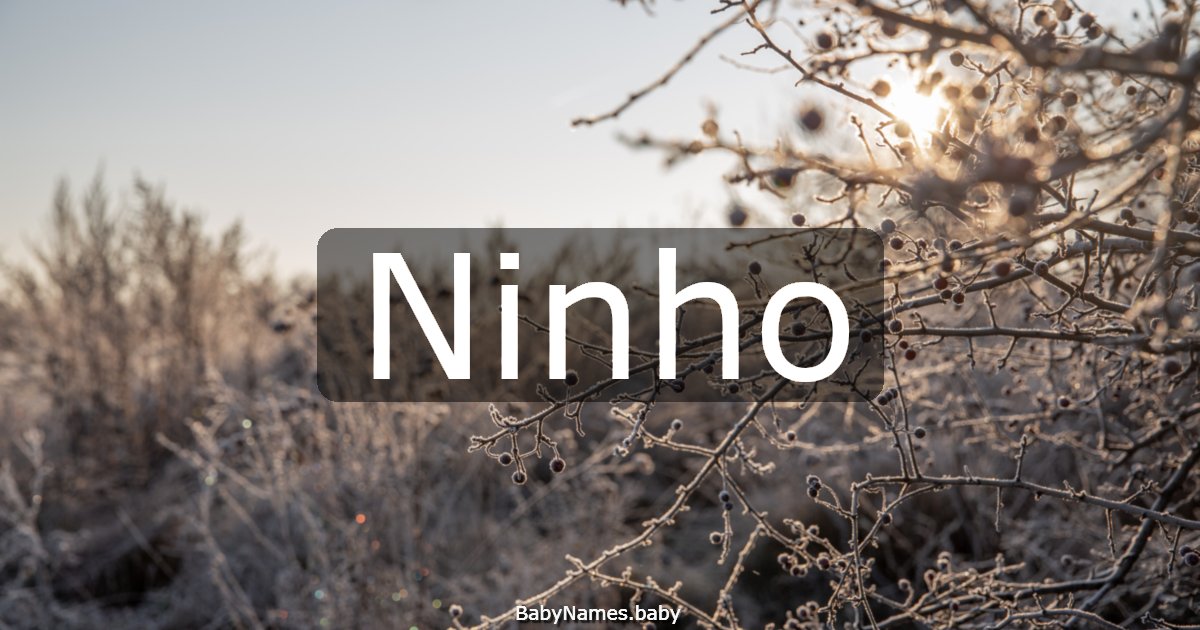 Ninho