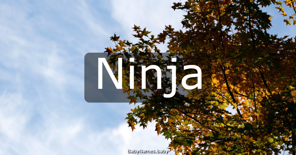 Ninja