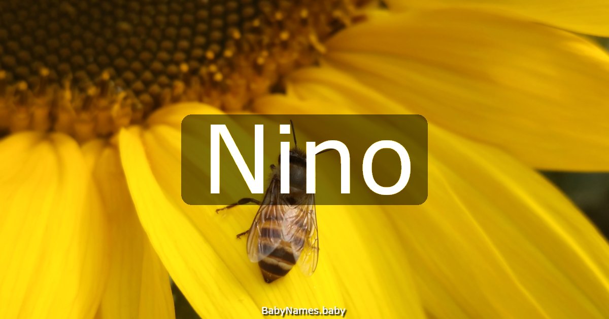 Nino