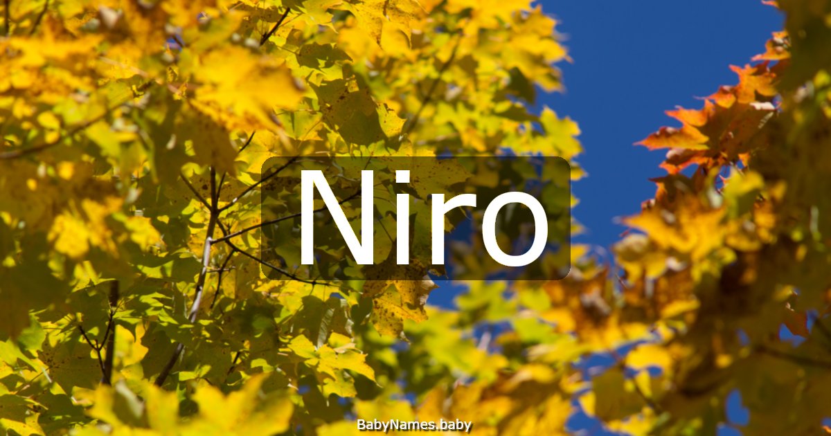 Niro