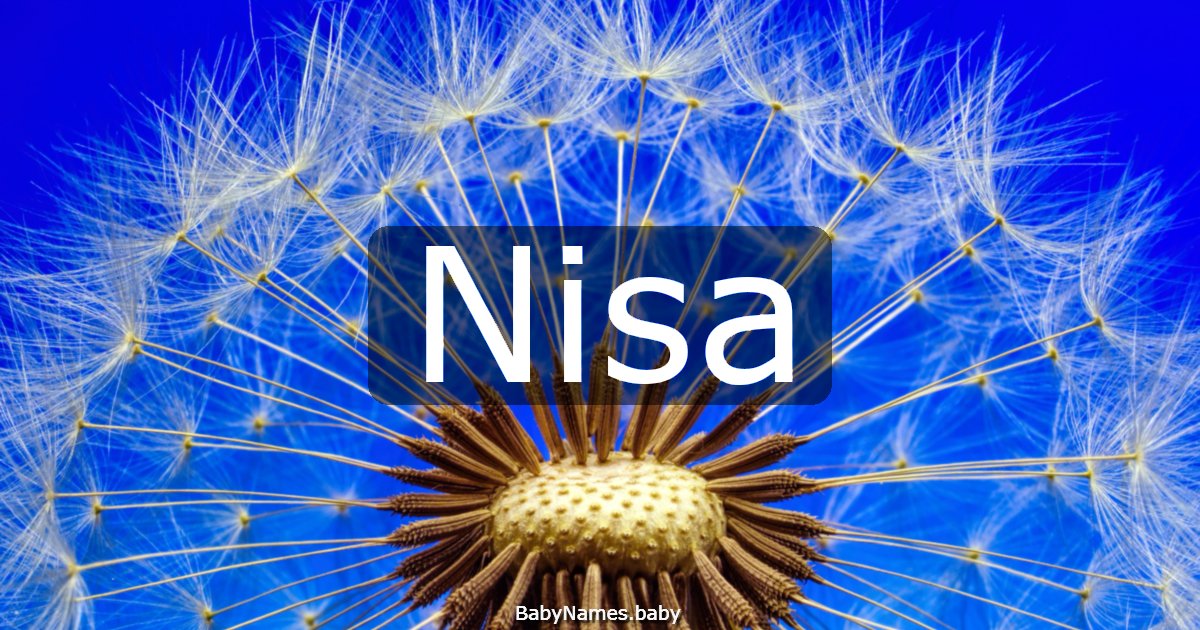 Nisa
