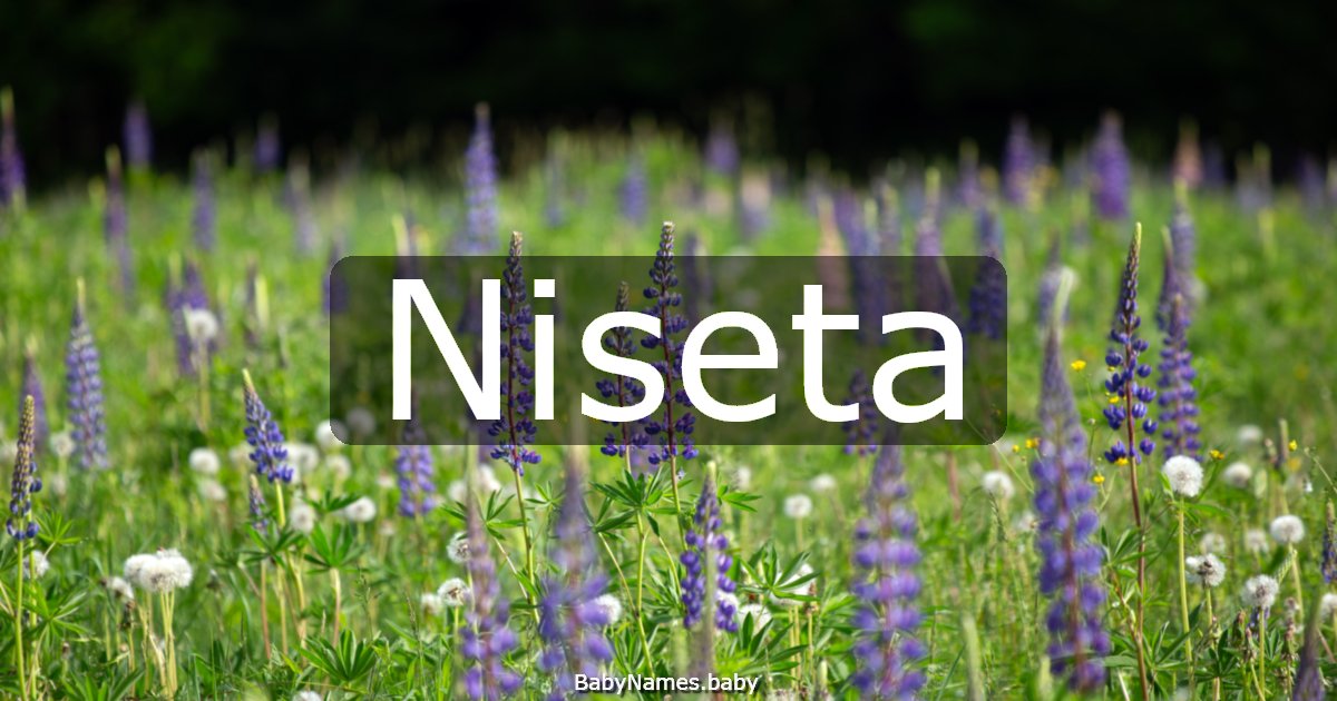Niseta