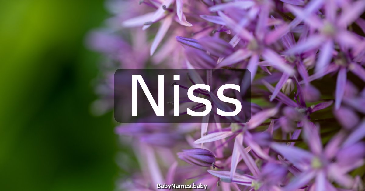 Niss