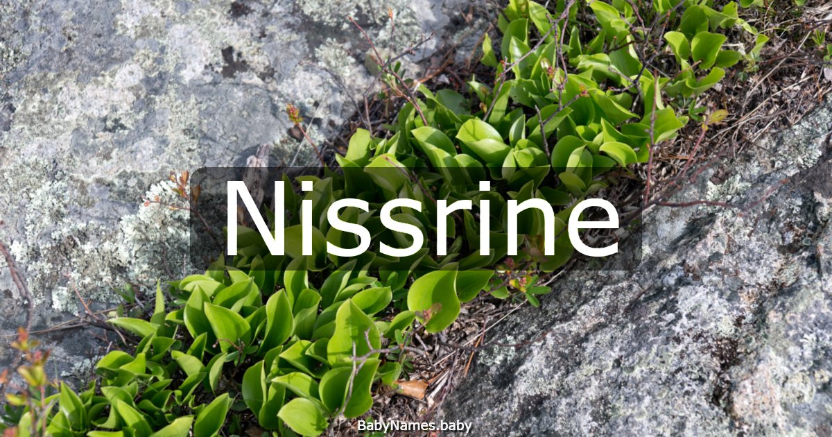 Nissrine