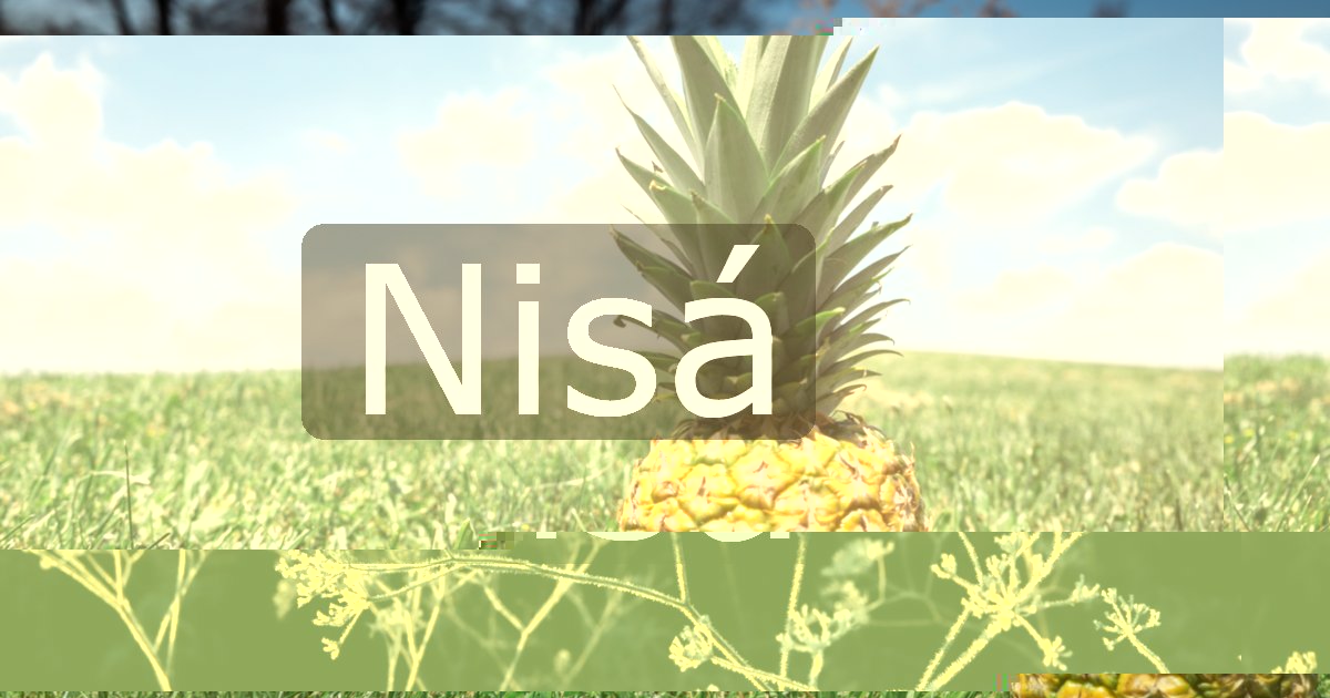 Nisá