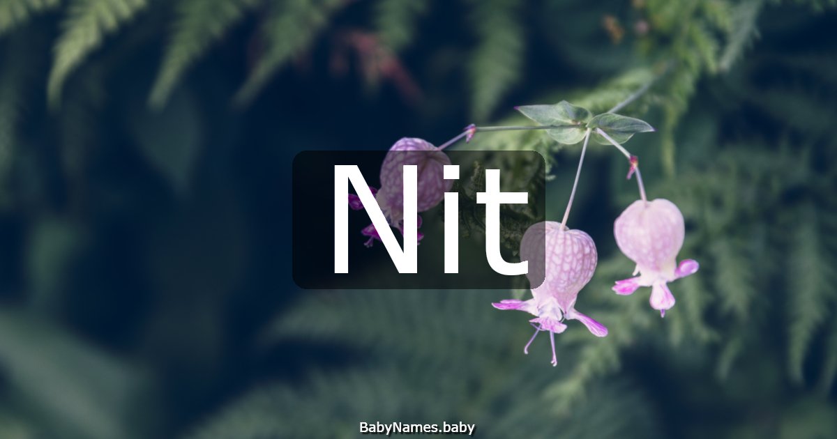 Nit