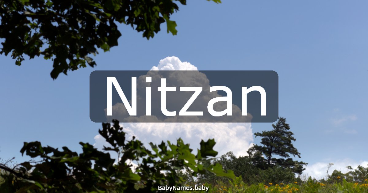 Nitzan