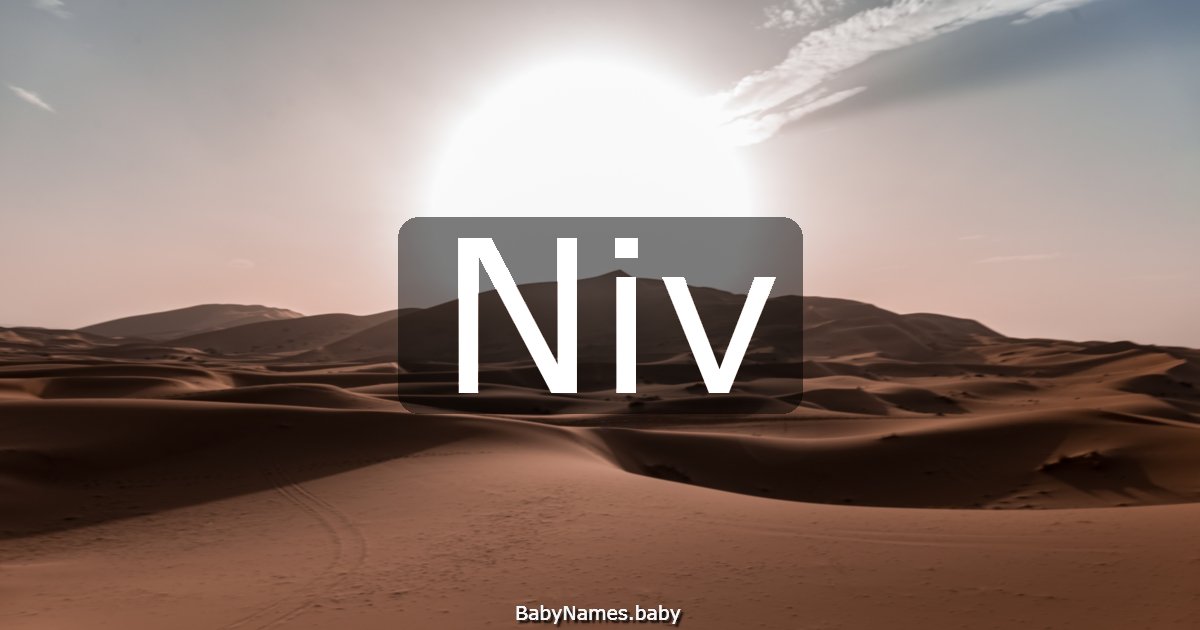 Niv