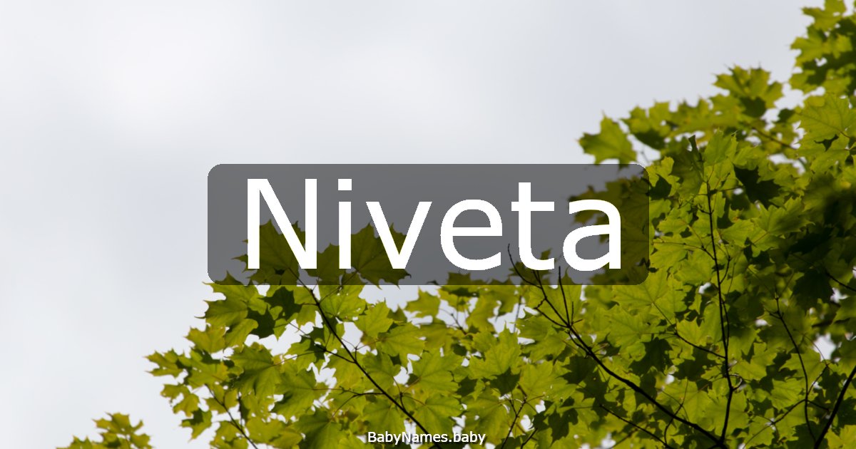 Niveta