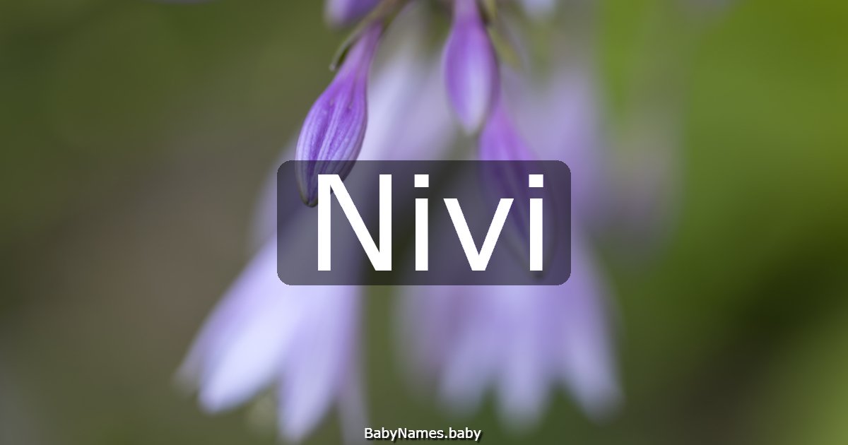 Nivi