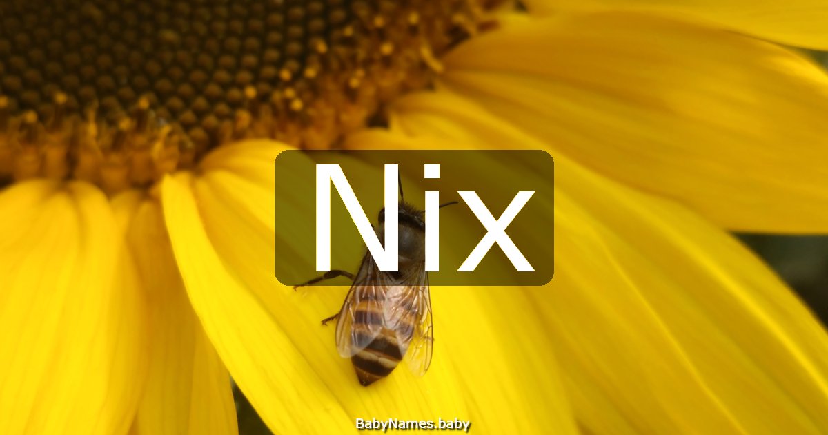 Nix
