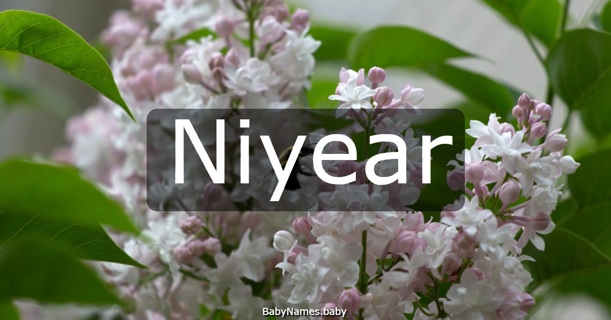 Niyear