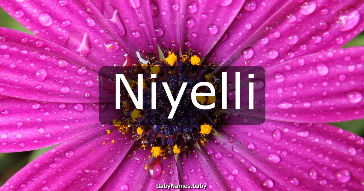 Niyelli
