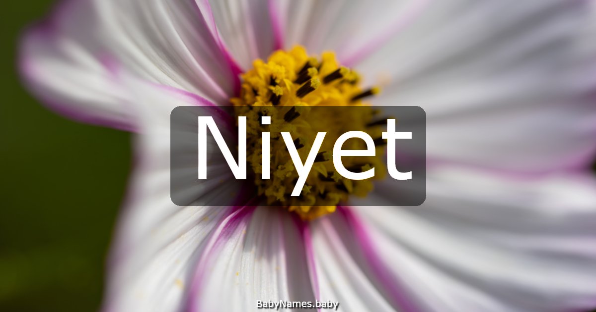 Niyet
