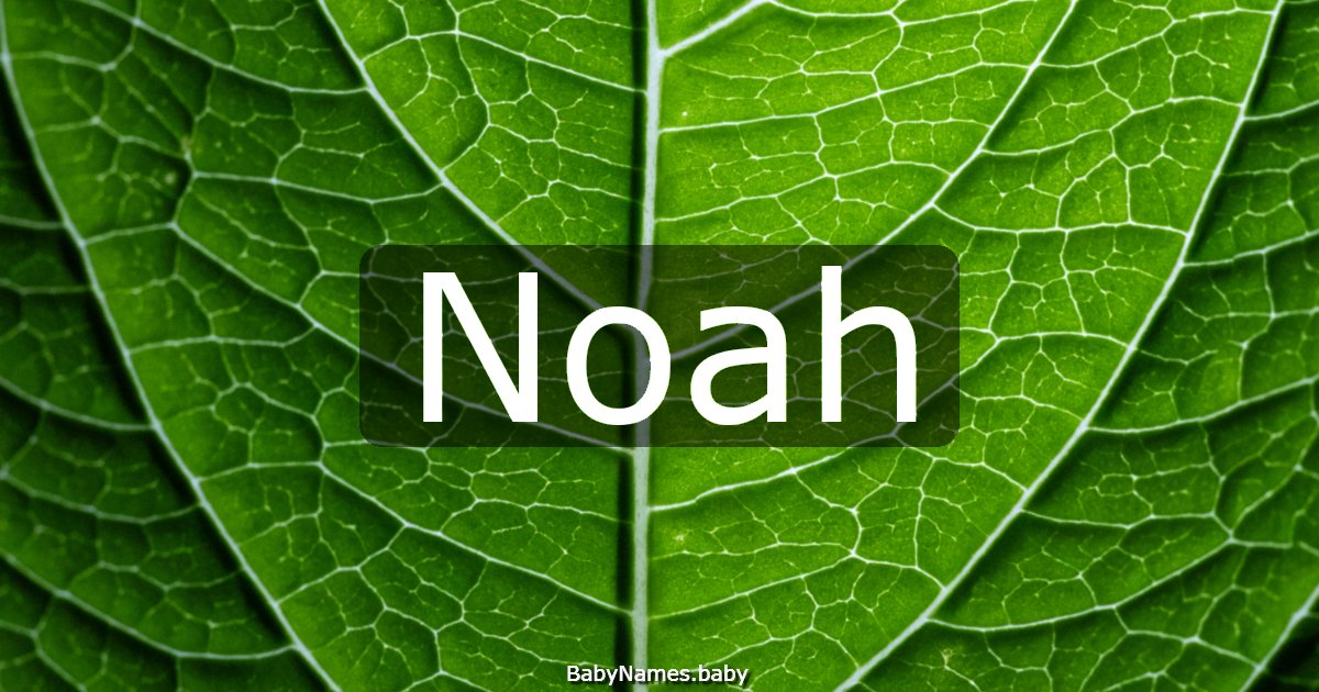 Noah