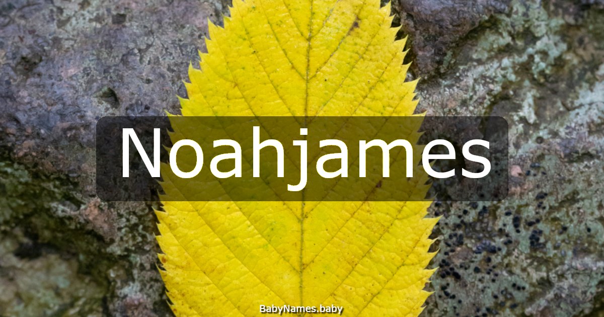 Noahjames