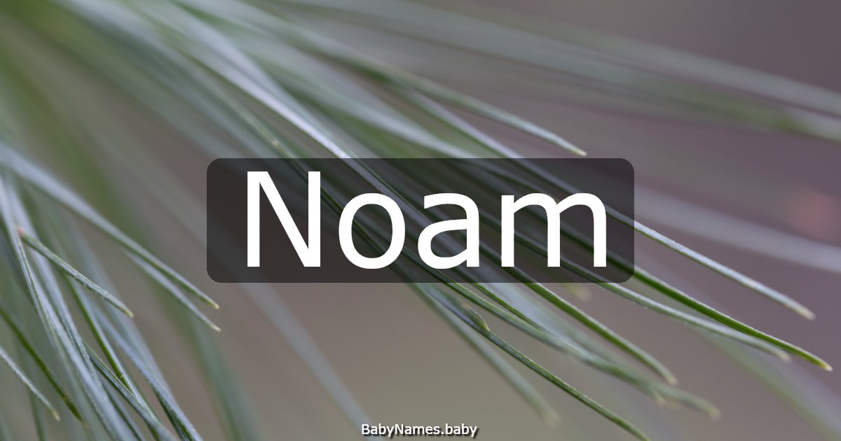 Noam