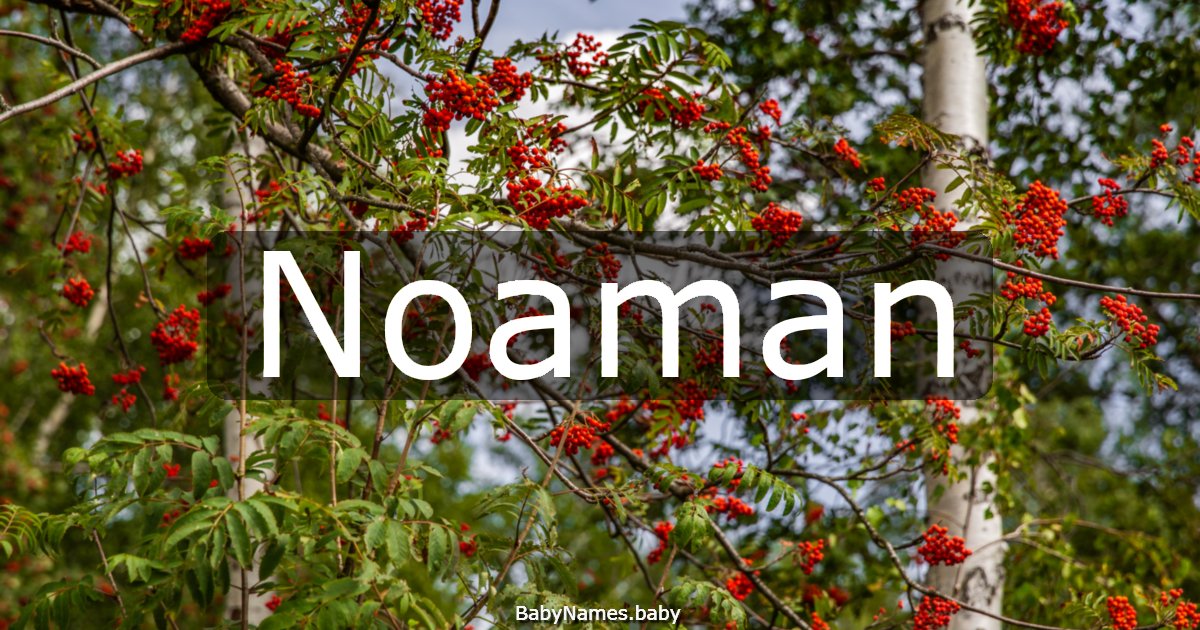Noaman